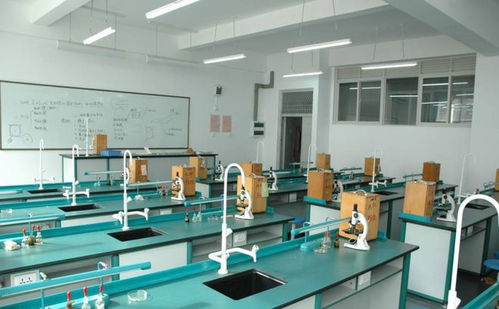 量子鬼才归国记 一条短信引发的科技弯道超车